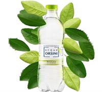 Orsini Acqua Naturale Pet Cl.50 (CASSA) x24 Bt