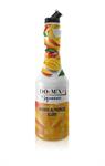 DOuMIX Sciroppo Premix Mango Lt.1