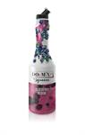 DOuMIX Sciroppo Premix Mirtillo Lt.1