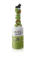 DOuMIX Sciroppo Premix Kiwi Lt.1