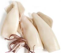 Calamari Puliti U5 Indopacifico Surg. Kg.1