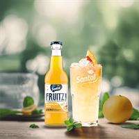 Santal Fruitz Analcolico Pompelmo Ml.200x12