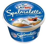 LATBRI Formaggio Spalmabile Gr.500